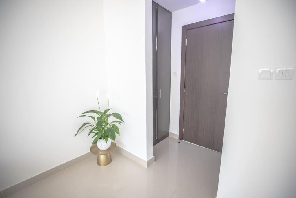 Appartement We Having Here *